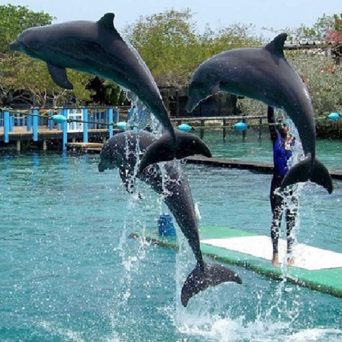 oCEANARIO